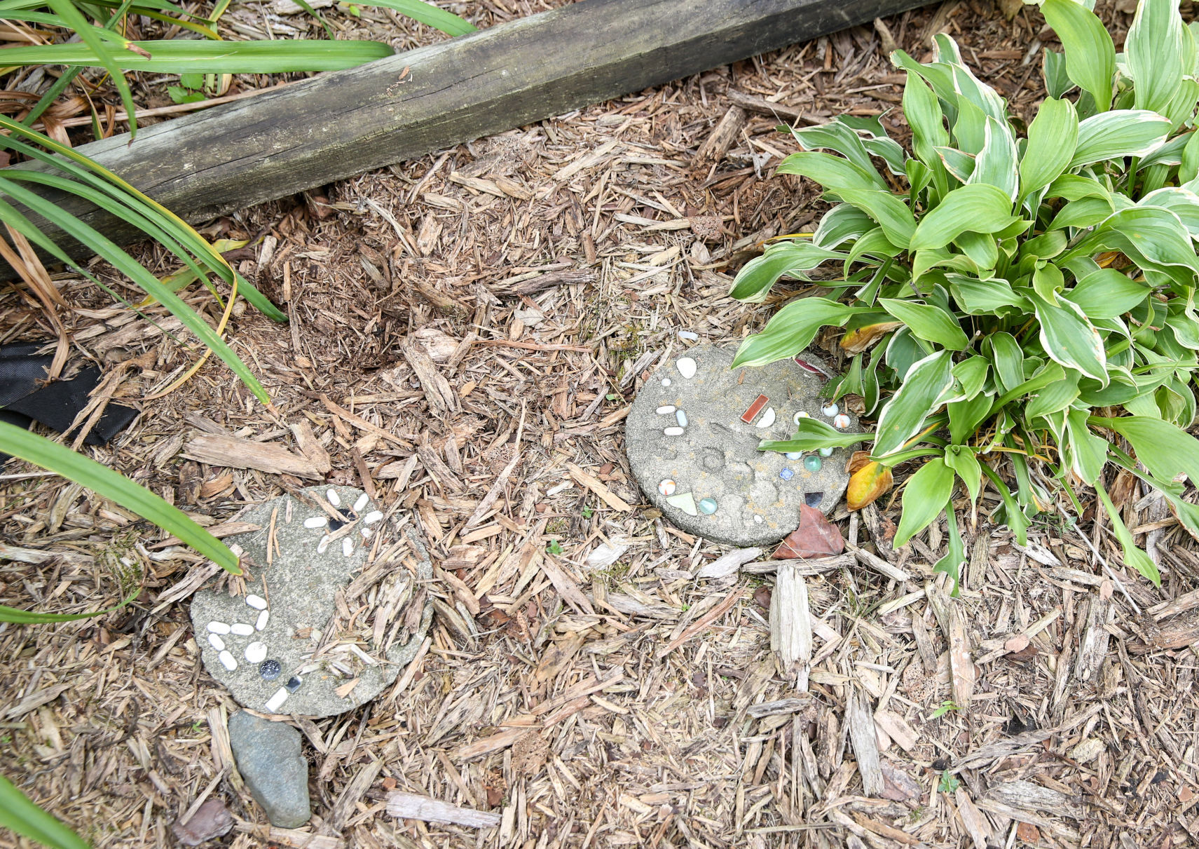 Messiah garden 14